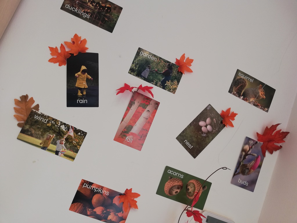 IMG 20190926 130758
